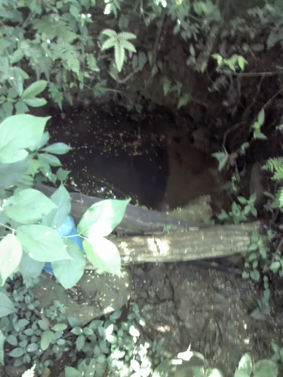 Pozos en las afueras del pueblo