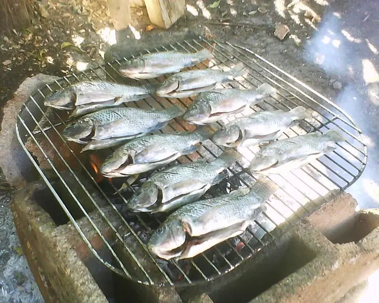 asando unas mojarras a pura brasa