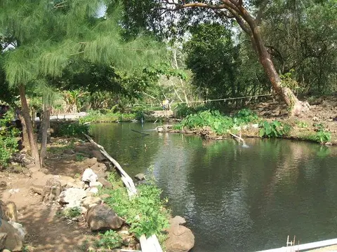La poza de aguas clara