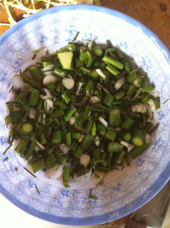 Axiote con cebollin